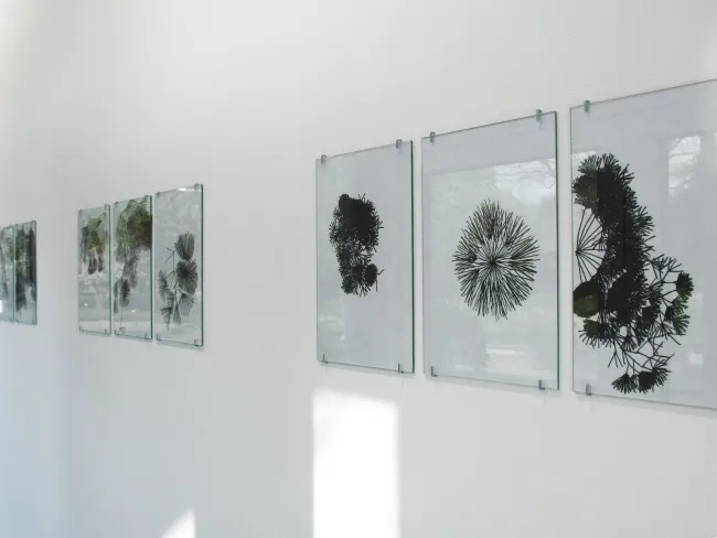 Installation view Katrin von Maltzahn: "Alphabet", Brandenburgischer Kunstverein Potsdam