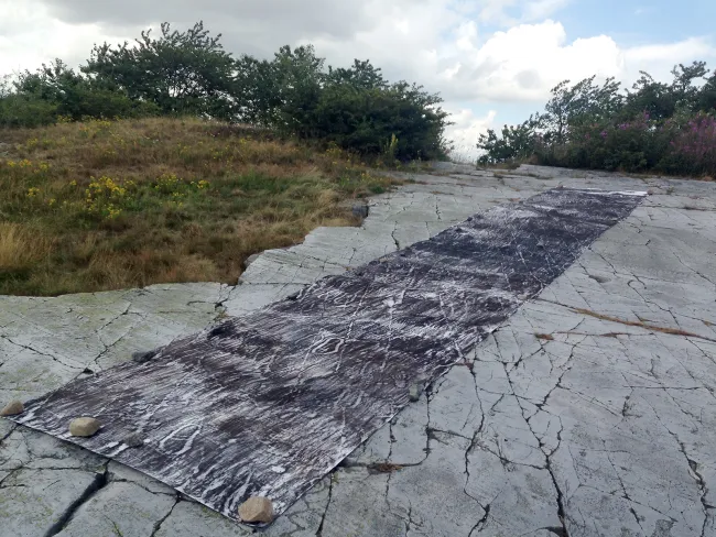 drawing in progress: frottage of rock carvings at a site close to Järrestad, Sweden